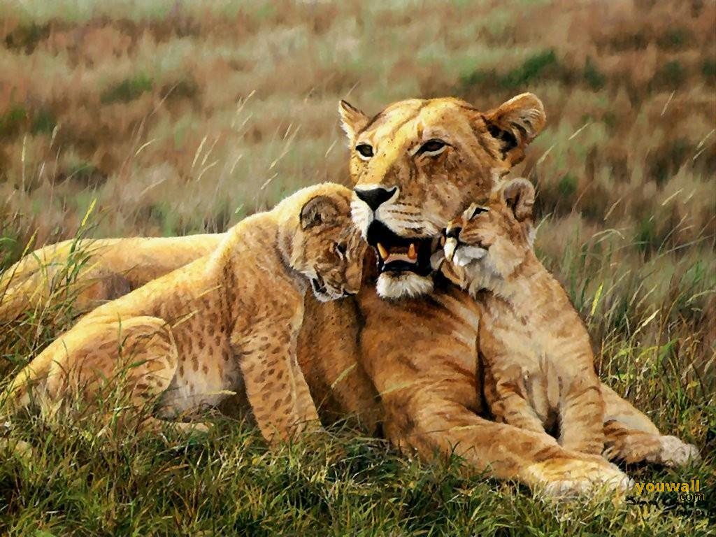 mom and cubs